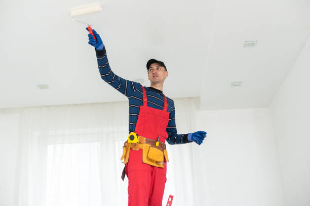 Best Mold Remediation for Rental Properties  in USA